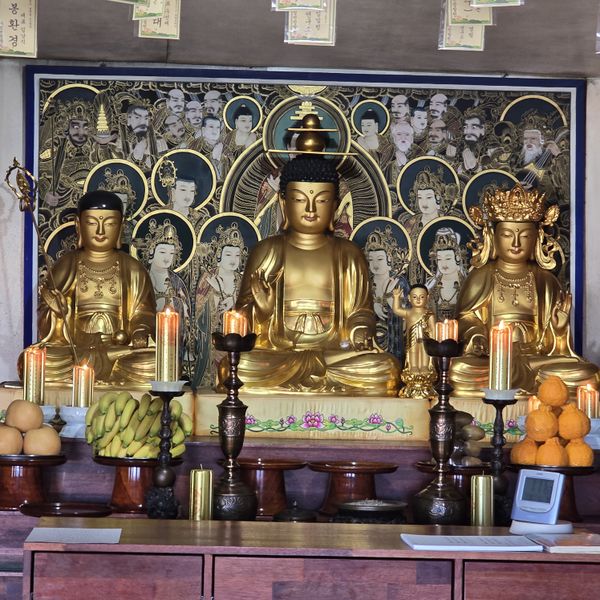 파일:20250130 131233.jpg