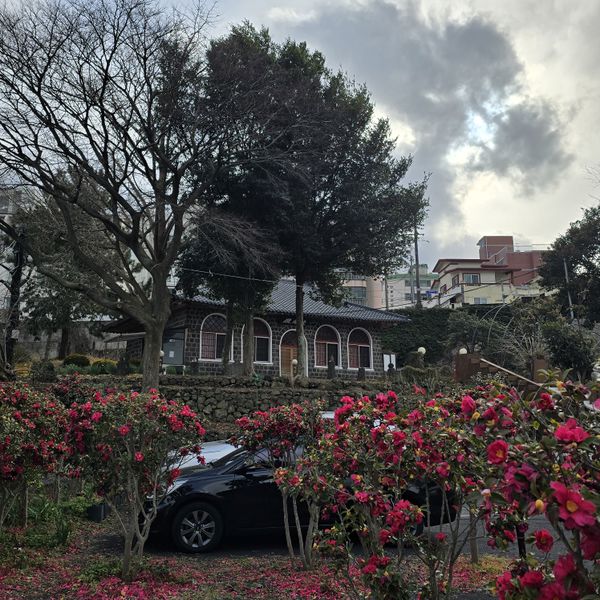 파일:20250127 152050.jpg