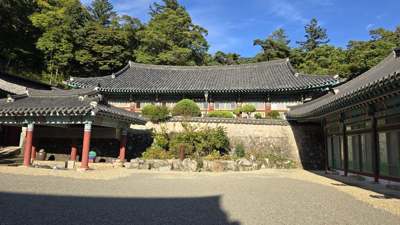 파일:20241002 162508.jpg