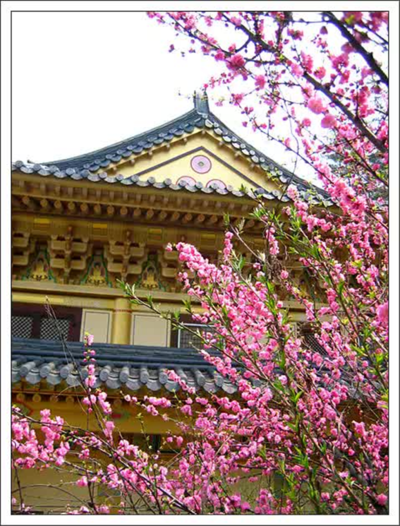 화장사의 봄 (사진출처: 화장사 홈페이지)
