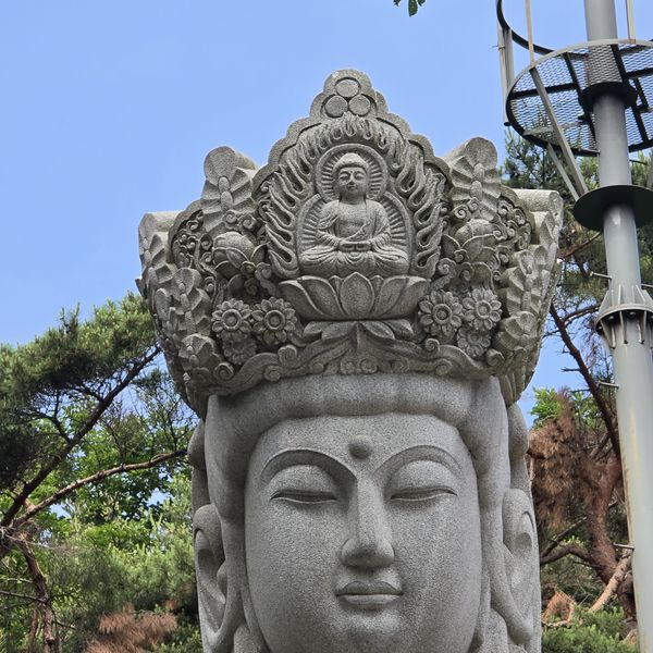 파일:20250609 095244.jpg