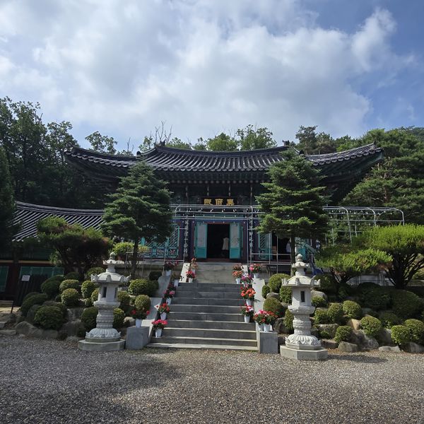 파일:20250609 094440.jpg