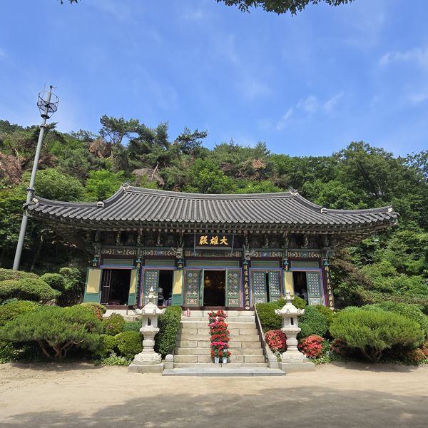 파일:20250609 095731.jpg