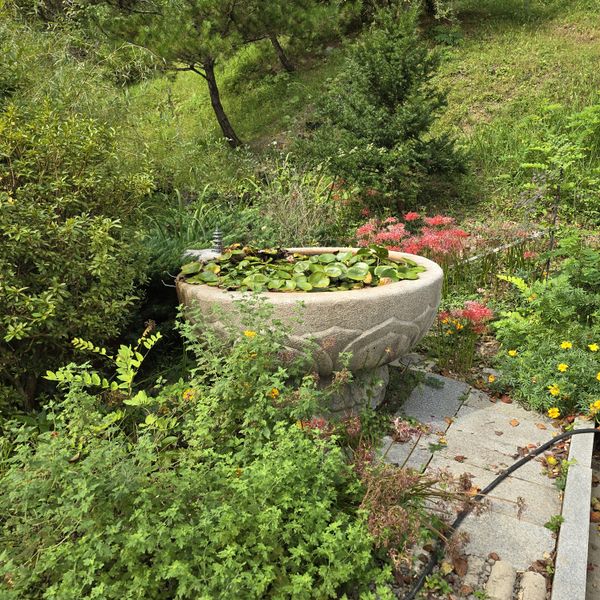 파일:20241003 105840.jpg