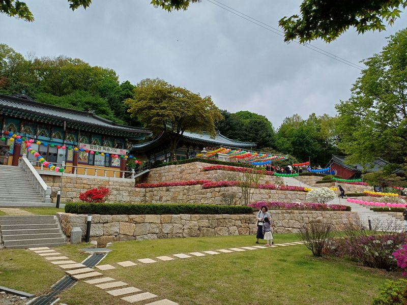 파일:KakaoTalk 20250611 184446371 05.jpg