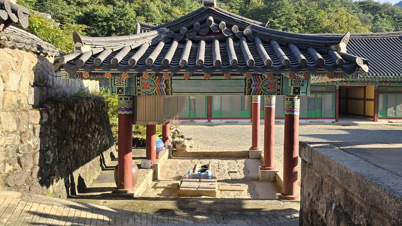 파일:20241002 162658.jpg