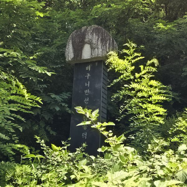 파일:20250728 124059.jpg