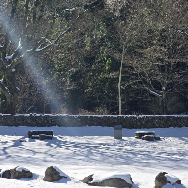 파일:20250130 130014.jpg