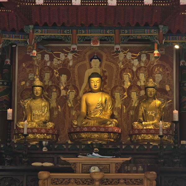 파일:20250609 095928.jpg