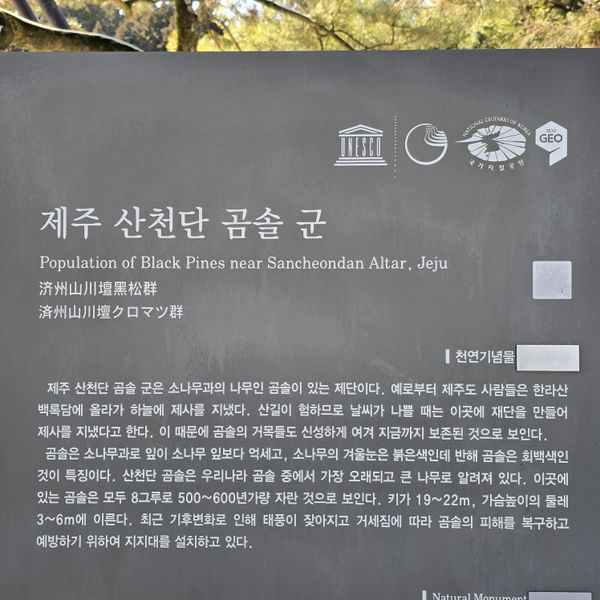 파일:20250130 125459.jpg