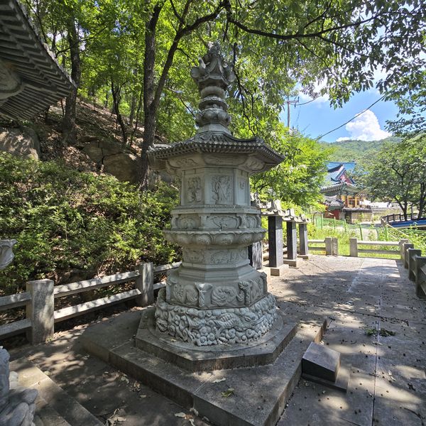 파일:20250728 112822.jpg