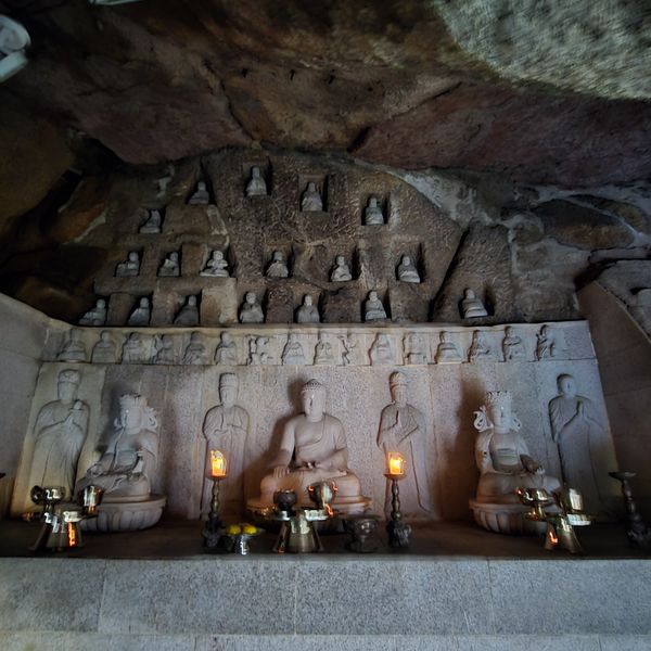 파일:20241024 135211.jpg