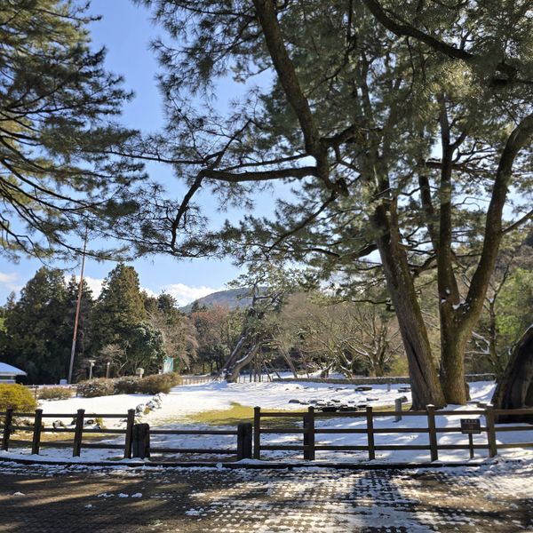 파일:20250130 125423.jpg