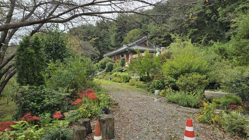 파일:20241003 105812.jpg