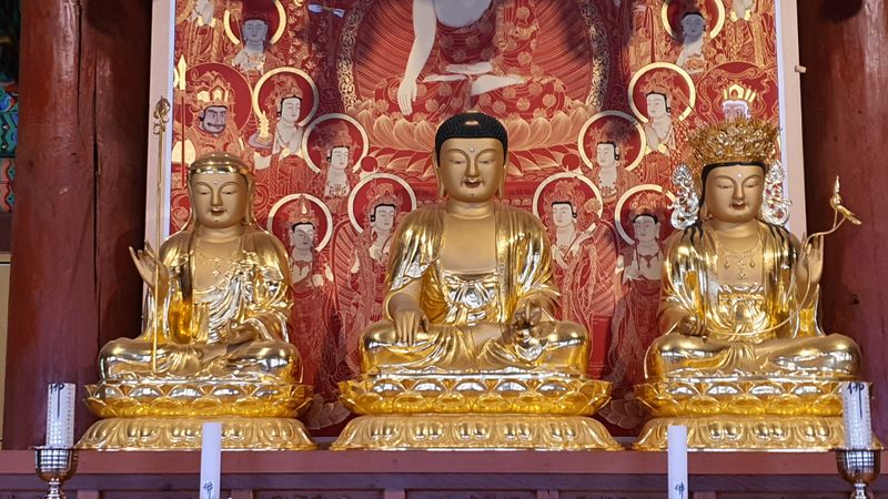 파일:20220620 113511.jpg