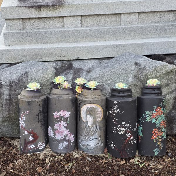 파일:20250129 133116.jpg