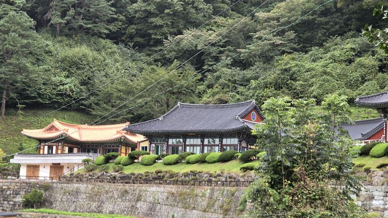 파일:20241003 080801.jpg