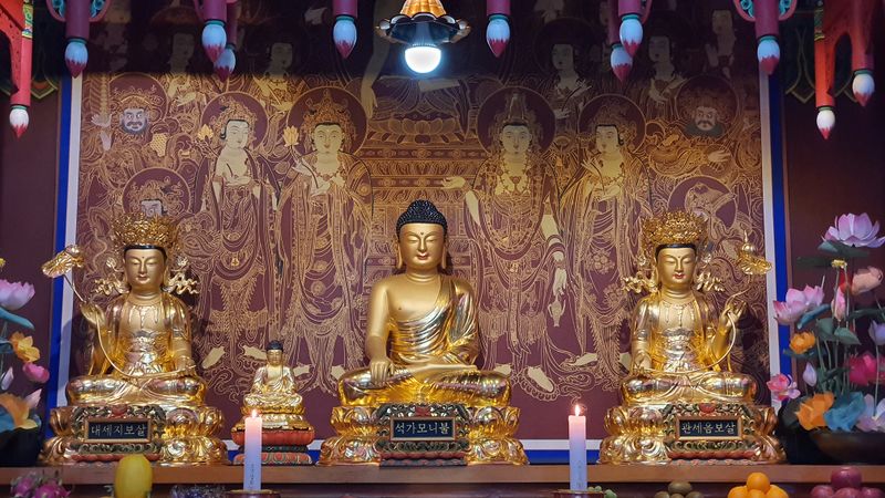 파일:20220508 171518.jpg