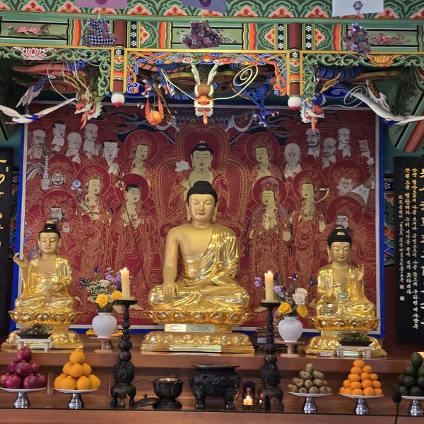 파일:20250129 132353.jpg