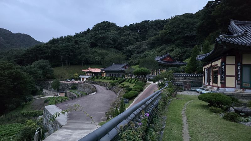 파일:20241003 062117.jpg