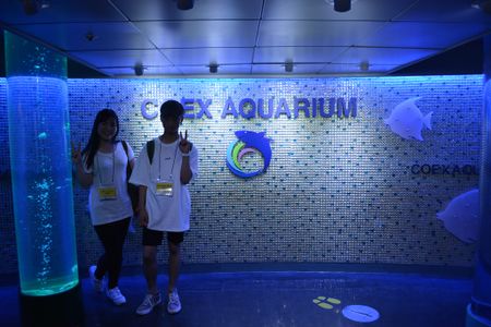Aquarium4.JPG