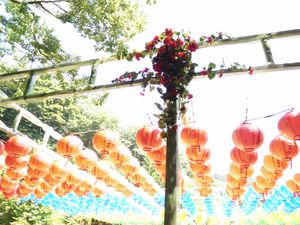 Paper lanterns in different colours hanging from a wooden rack