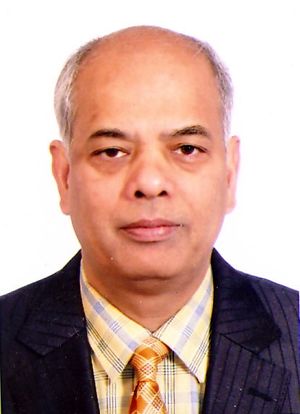 8. Pankaj Mohan.jpg