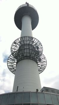 P 20150717 122917 1 p.jpg