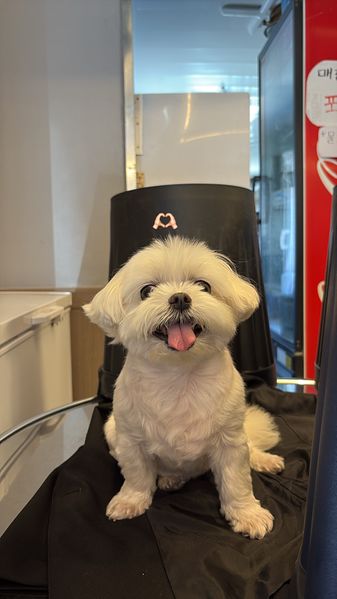 파일:KakaoTalk 20260505 213359119.jpg