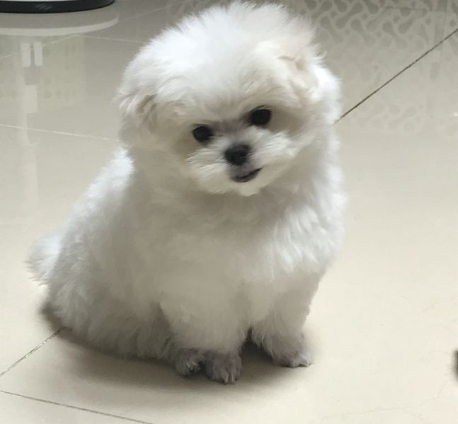 파일:꼬물.jpg