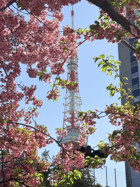 파일:東京タワー.png