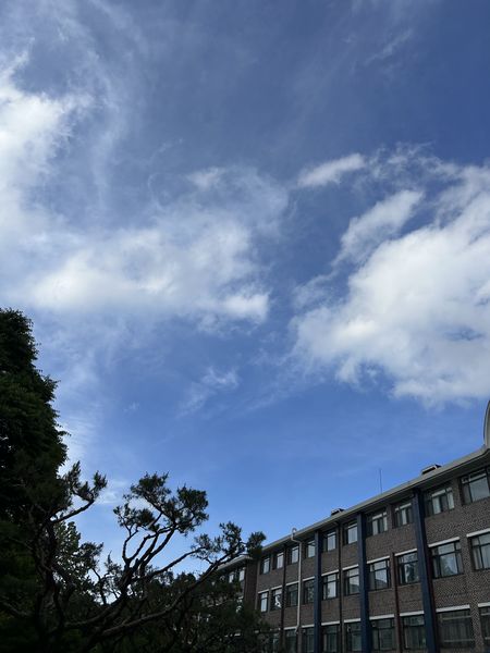 파일:학교하늘.jpg