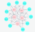 Document topic network v2.png