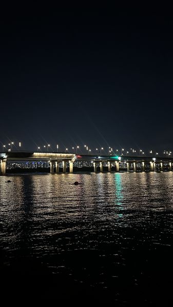 파일:여의도 한강공원.jpg