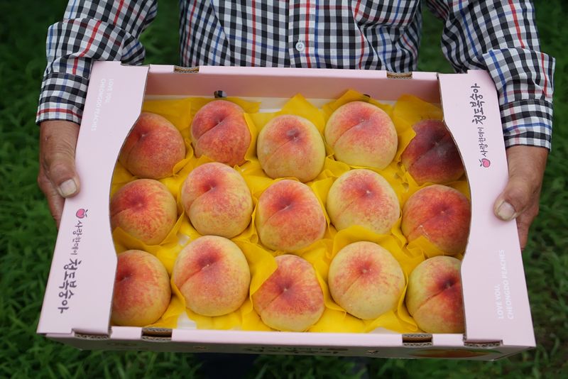 파일:P jjhCNU24.jpg