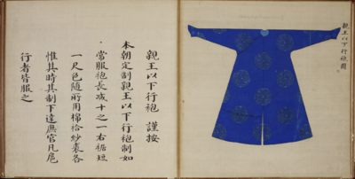 Travelling Coat Worn by Princes of the Blood.png