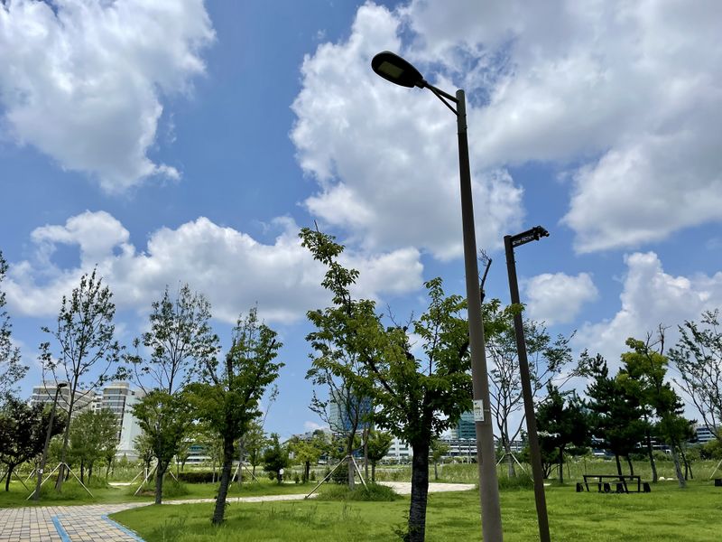파일:호수공원.jpg