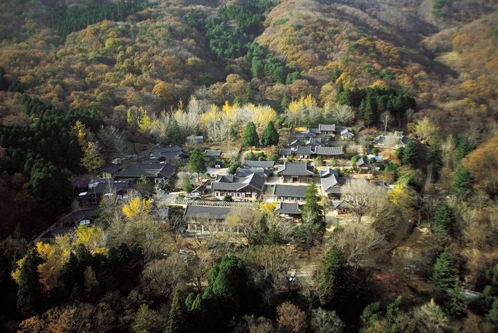 승선교와 숲길이 아름다운 순천 선암사