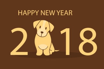 파일:KSJ 2018년.jpeg