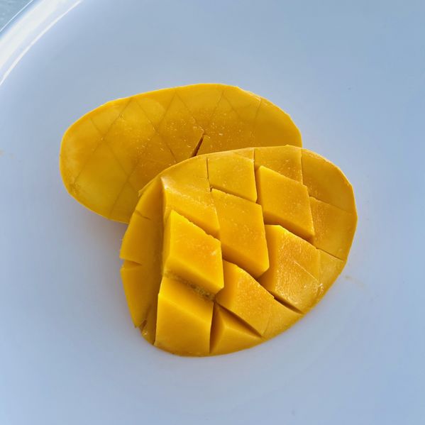 파일:JMY 망고.jpg