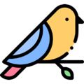 Bird.png
