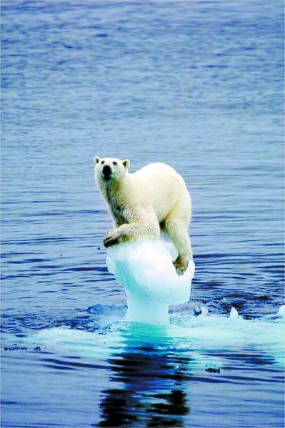 파일:SYM 기후변화.jpg