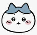 하치와레3트.png