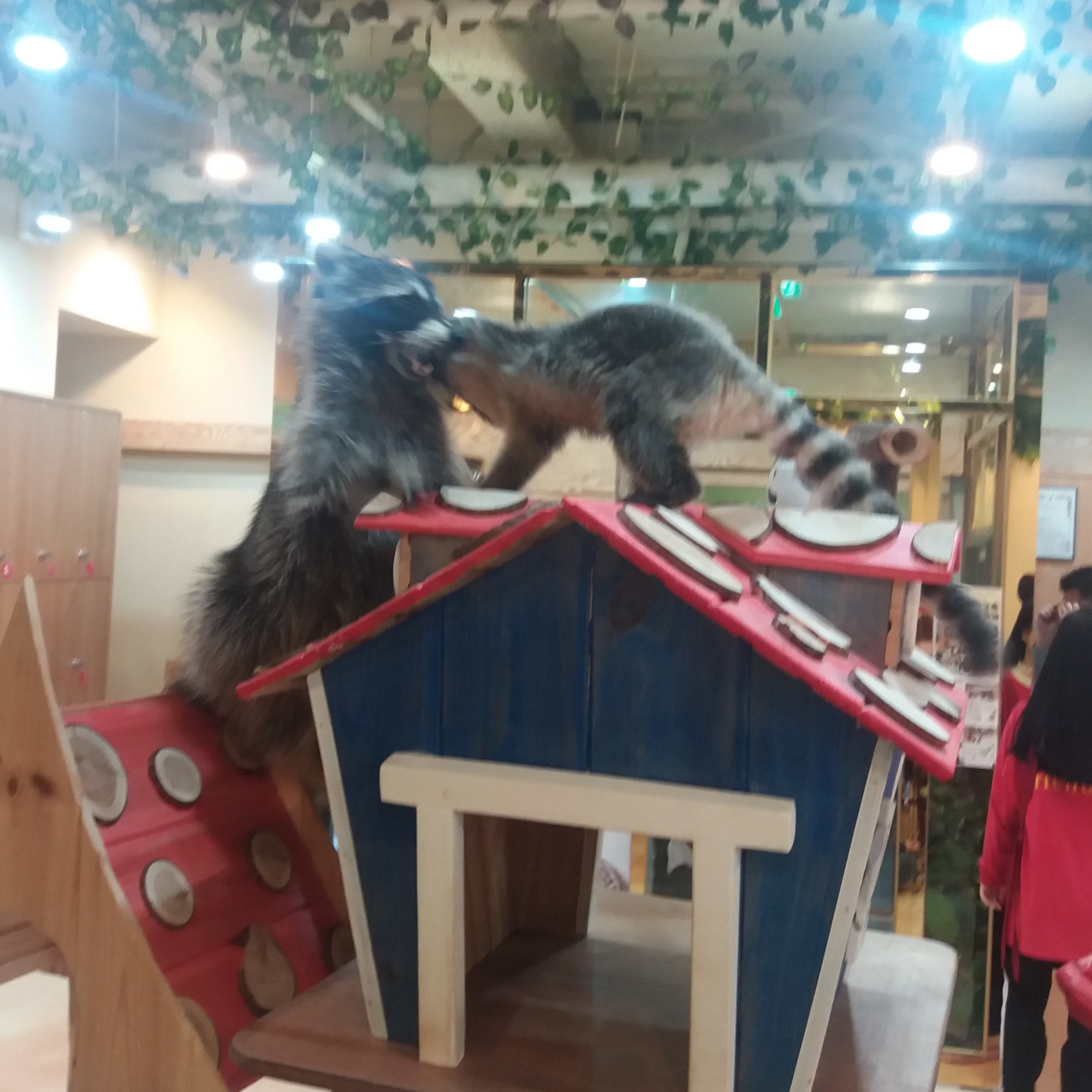 너굴맨 조민종(KNU2025).jpg