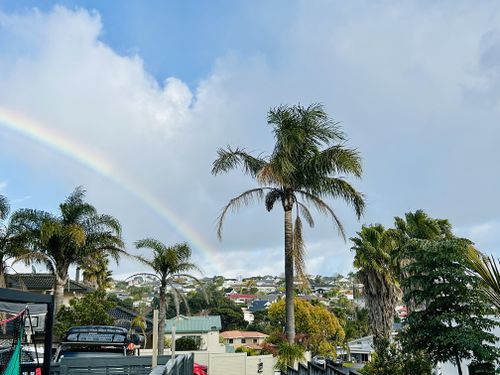 올 해 여름 뉴질랜드에서 인턴 일을 하며 찍은 사진이다.