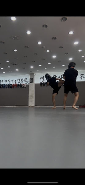 파일:KakaoTalk 20251105 214400935.png