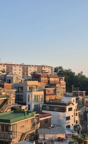 파일:잘 찍은 사진 4.jpg