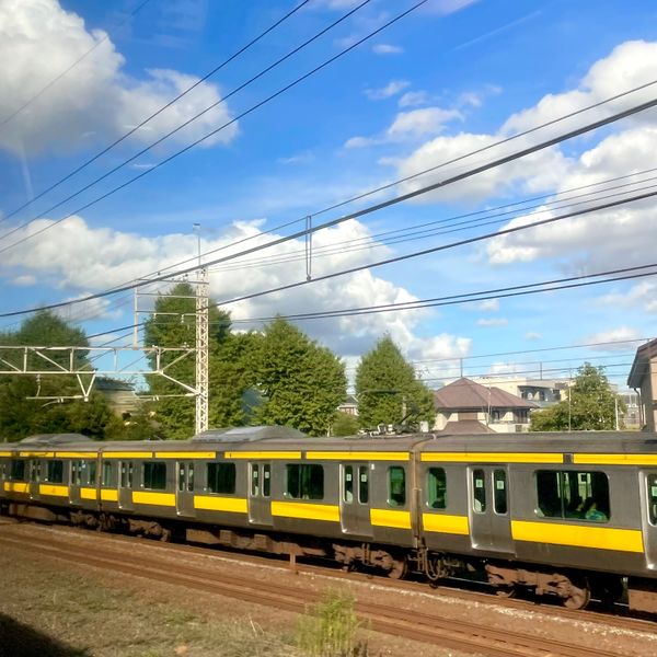 파일:맑은 바깥 풍경.jpg